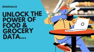 Unlock-the-Power-of-Food-Grocery-Data-case-studies-DataGrass